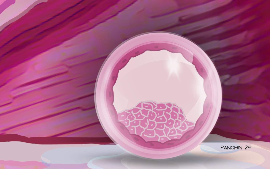 Implantación del embrión: etapas, síntomas y claves del proceso