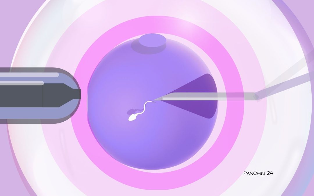 Fecundación in vitro en España: Notas sobre la FIV