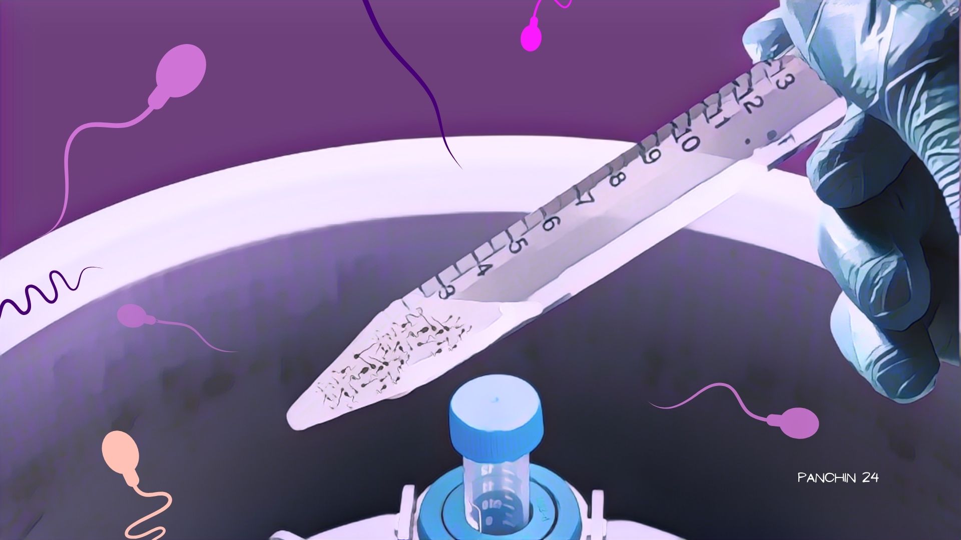 preparacion semen seleccion espermatozoide fiv icsi