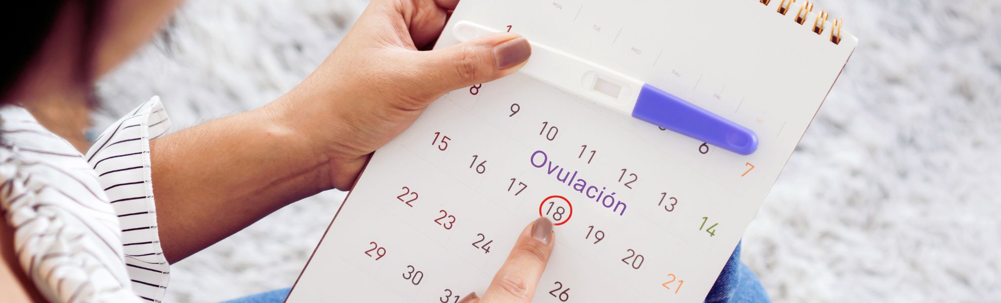 fertilidad mujer Mujer chequea su calendario de ciclo menstrual y la fecha de ovulación mientras sostiene una prueba de embarazo en la mano