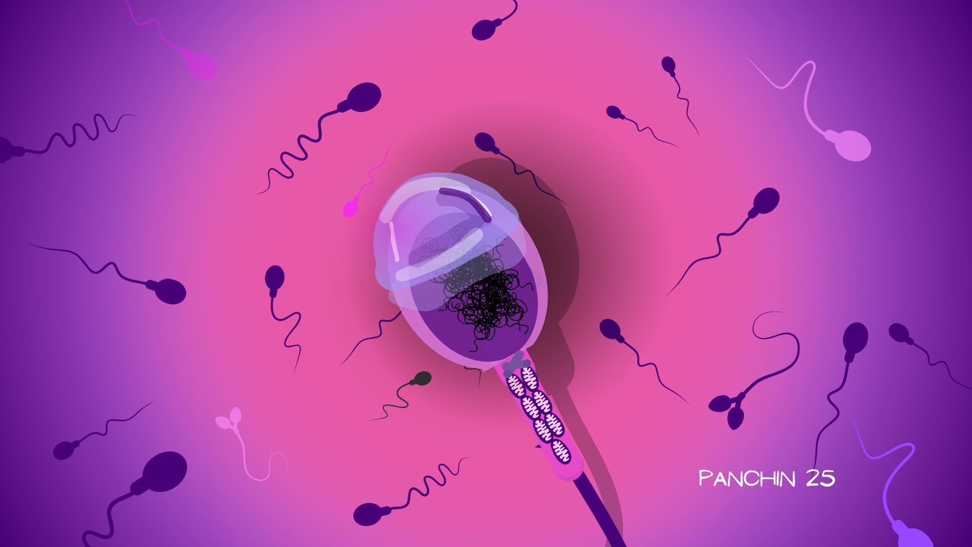 El espermatozoide Espermatozoide  rodeado de otros espermatozoides