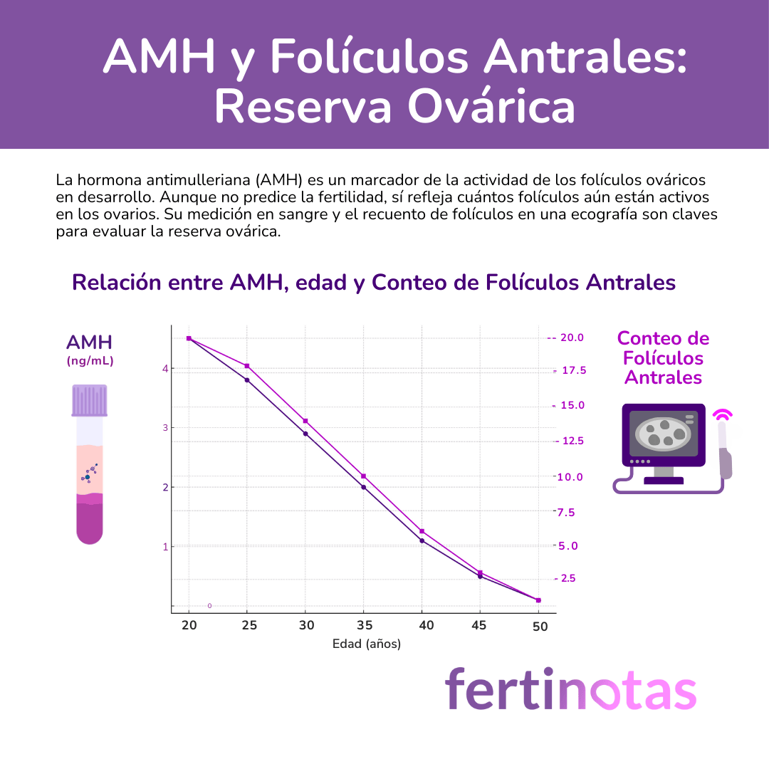 Hormona Antimulleriana y edad 