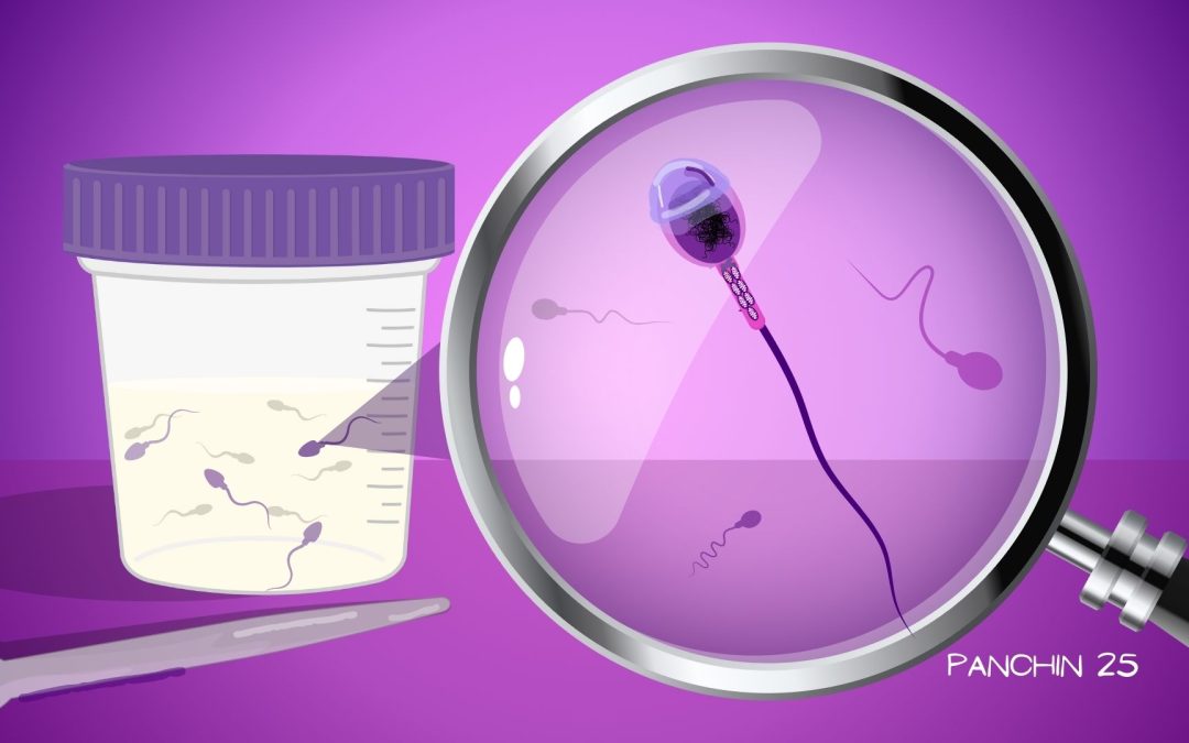 Seminograma: Prueba clave para evaluar la fertilidad masculina