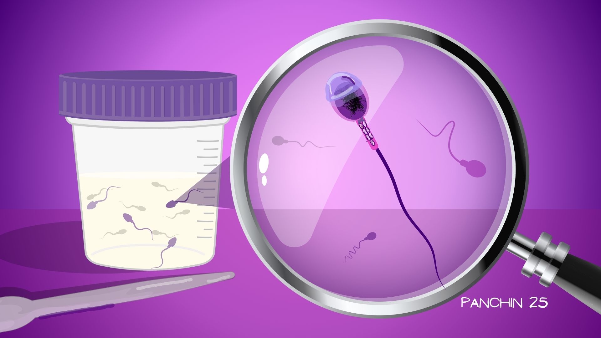 Seminograma fertilidad masculina Seminograma