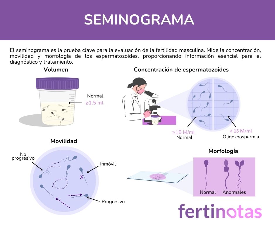 Seminograma El seminograma pruebas