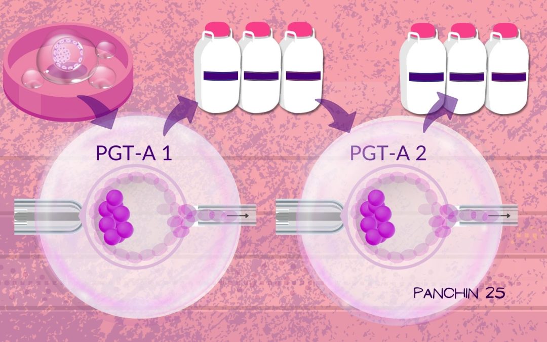 PGTA no concluyente: ¿es útil una doble biopsia?