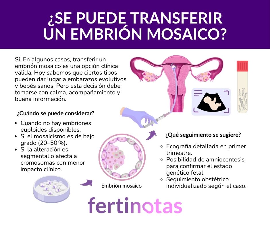 transferencia de embrion mosaico