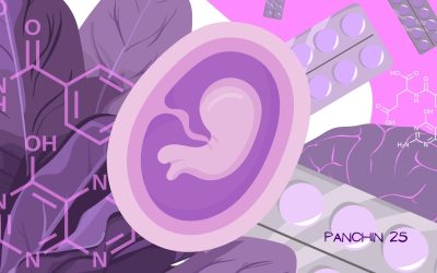 Ácido fólico en el embarazo