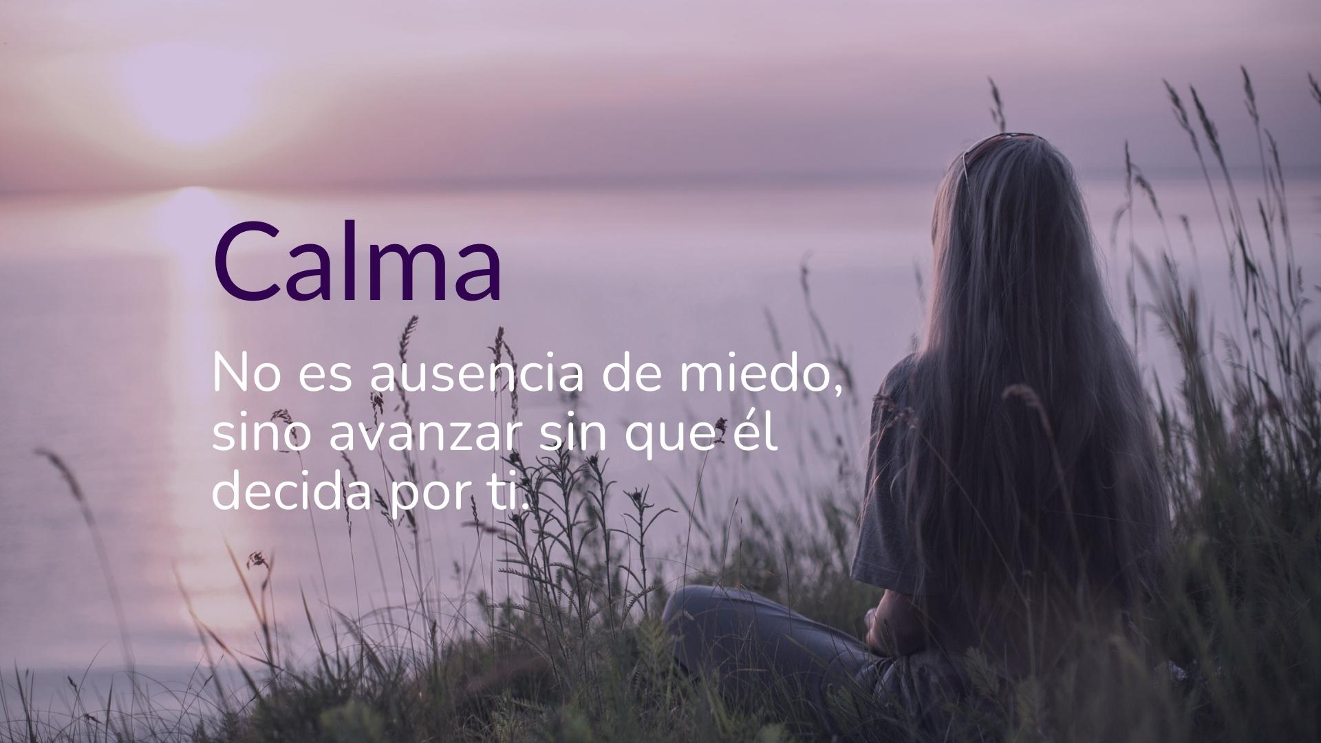 primer trimestre embarazo análisis Mujer embarazada mirando el horizonte con calma, transmitiendo serenidad en el primer trimestre del embarazo