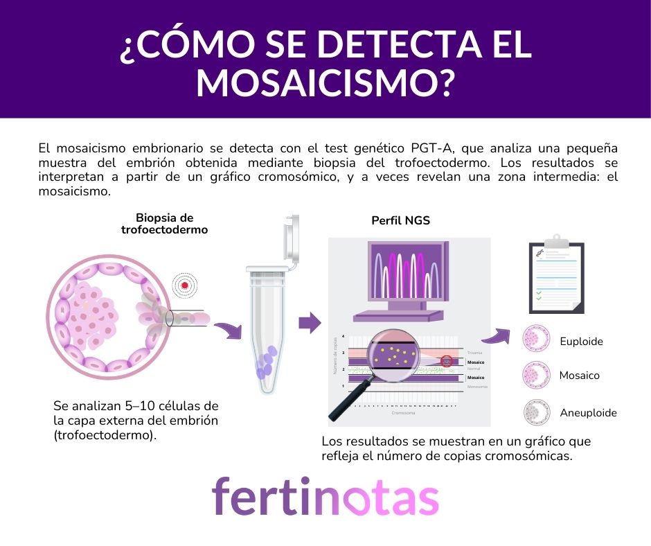como se detecta el mosaicismo