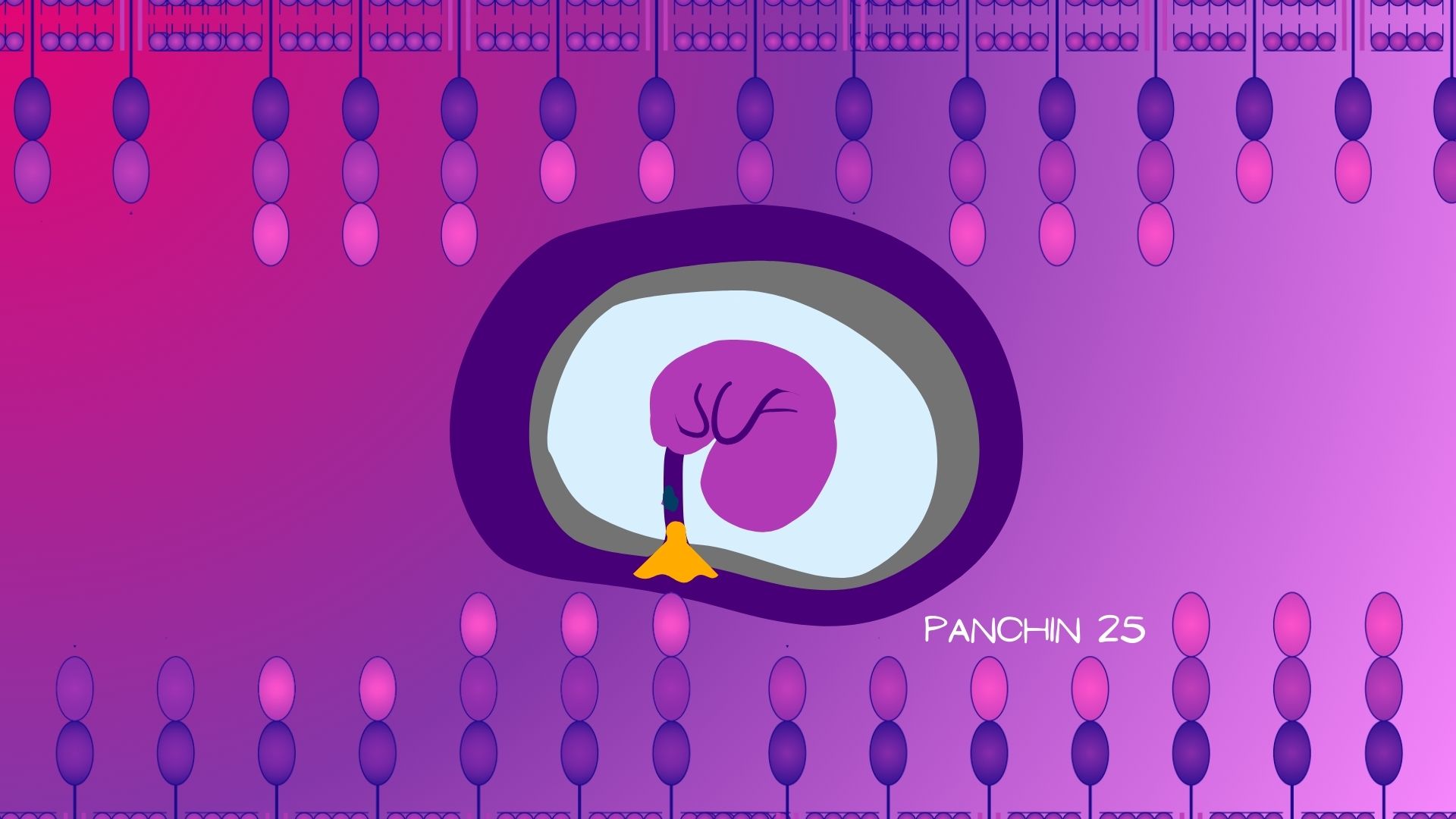 Perdida recurrente embarazo inmunología Perdida recurrente de embarazo inmunología