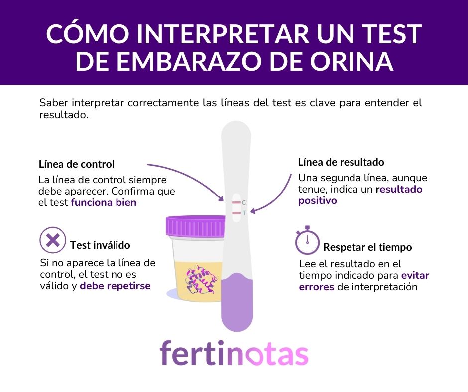 como interpretar resultado prueba de embarazo