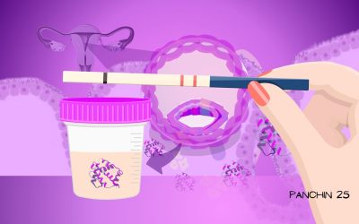 Prueba de embarazo: cuándo hacerla, tipos, precios y fiabilidad