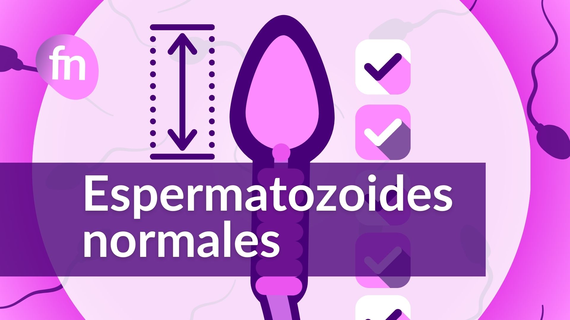 Espermatozoides normales Ilustración de un espermatozoide normal