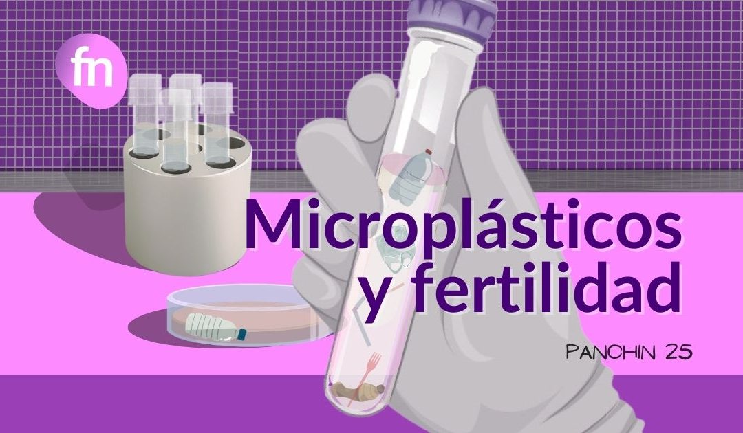 Microplásticos y fertilidad: un nuevo riesgo en el líquido folicular