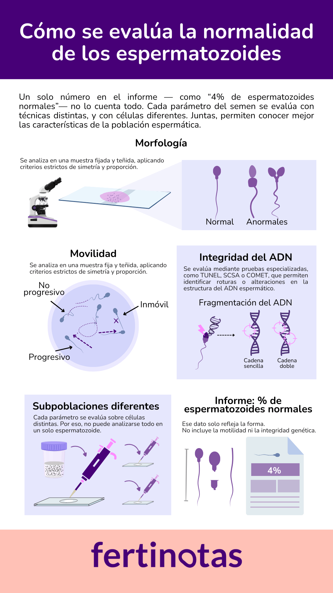 como se evalua la normalidad de los espermatozoides Infografía sobre cómo se analiza la normalidad de los espermatozoides en un seminograma.</p>
<p>