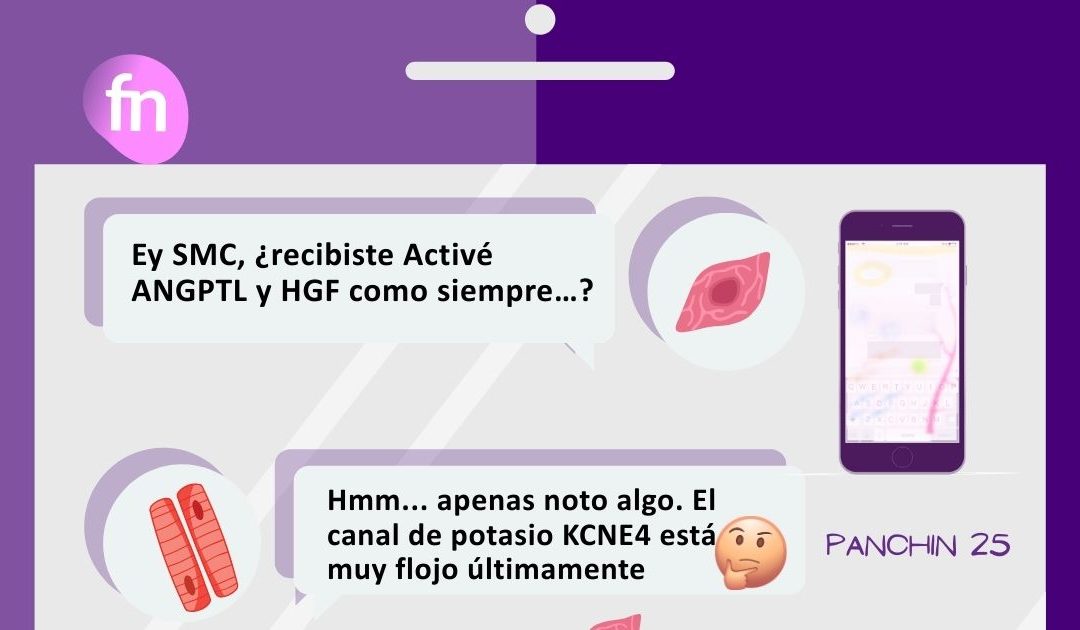 Comunicación celular en el útero: fertilidad y el envejecimiento