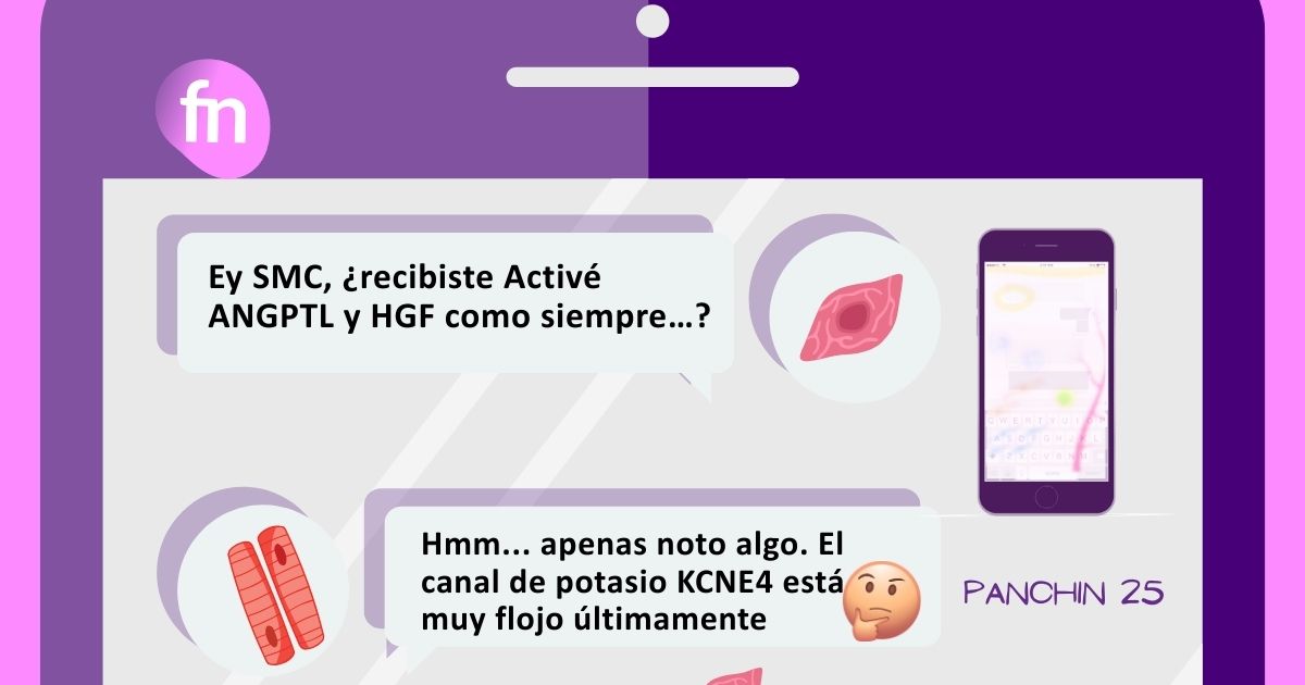 comunicacion celular utero envejecimiento fertilidad Dos células humanas intercambiando mensajes mediante un chat en el móvil, como metáfora visual de la comunicación celular en el útero.