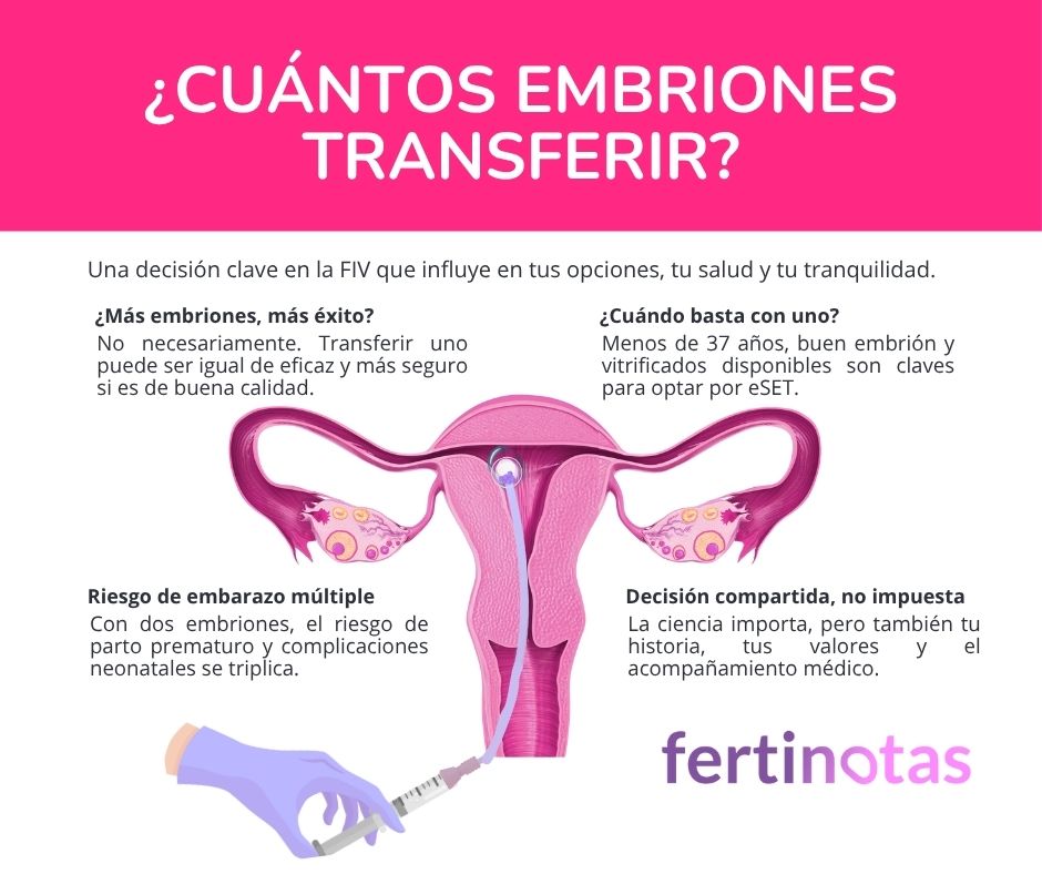 Infografía sobre cuántos embriones transferir en FIV Infografía médica explicando los riesgos y ventajas de transferir uno o dos embriones en FIV