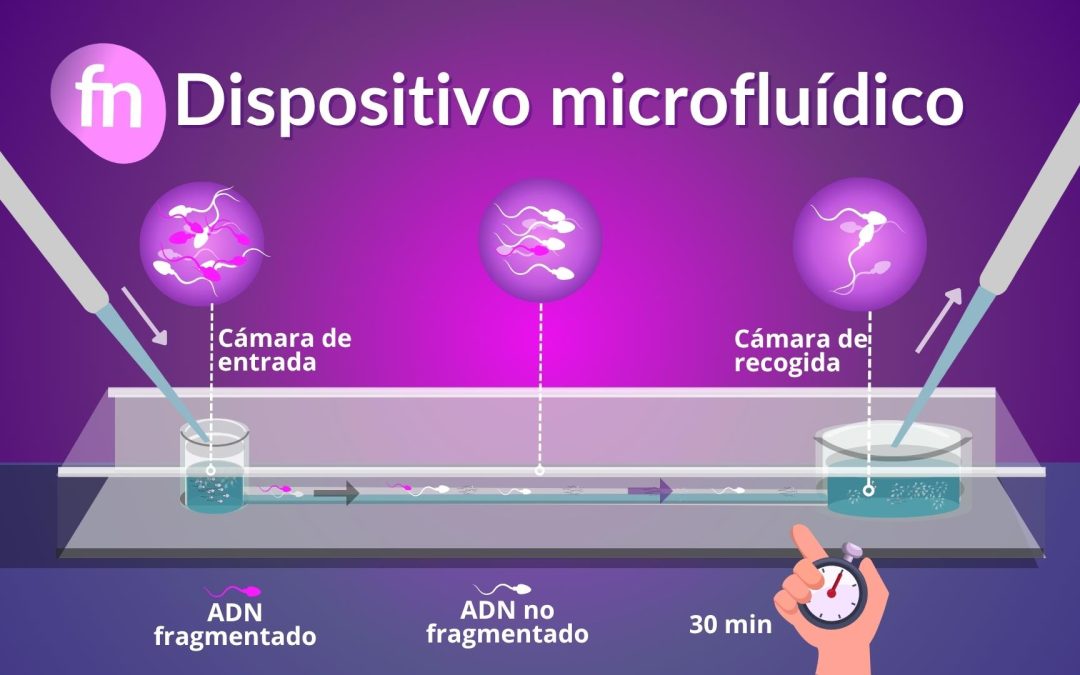Dispositivos microfluídicos para seleccionar espermatozoides