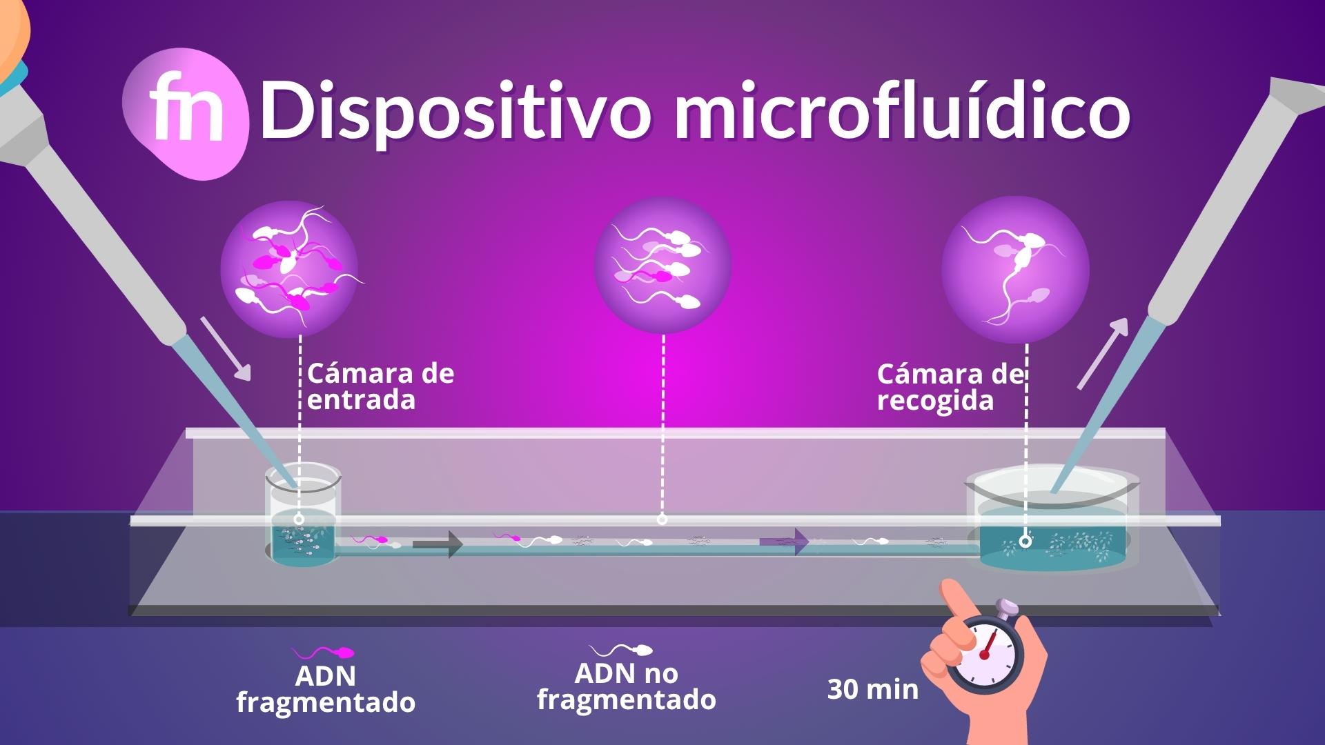 dispositivos microfluidicos seleccion espermatozoide Imagen de un chip microfluídico utilizado en FIV para seleccionar espermatozoides móviles y con buen ADN