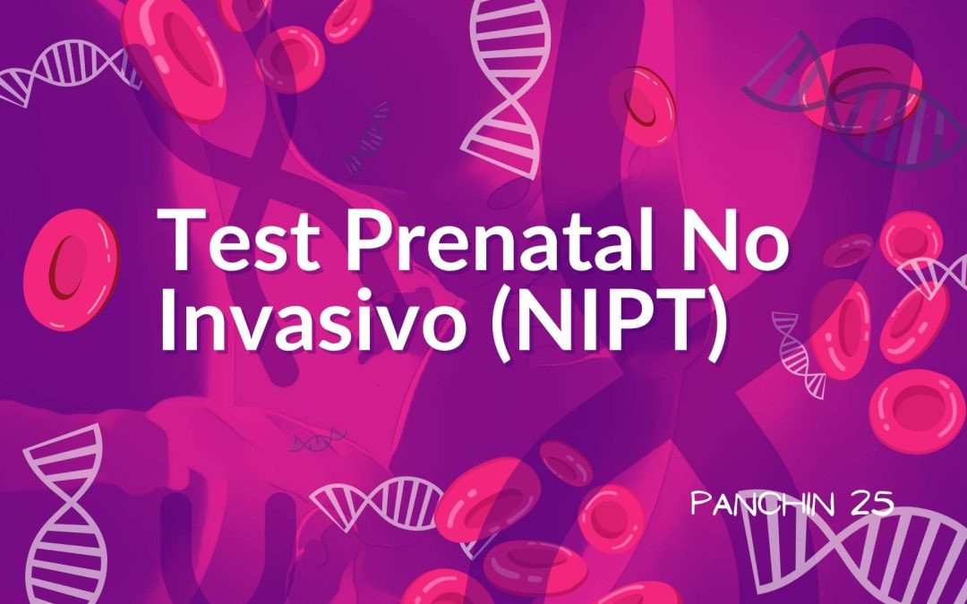 Test Prenatal No Invasivo (NIPT): qué es y cuándo hacerlo
