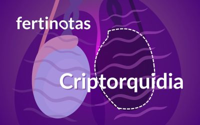 Criptorquidia: testículo no descendido y su relación con la fertilidad
