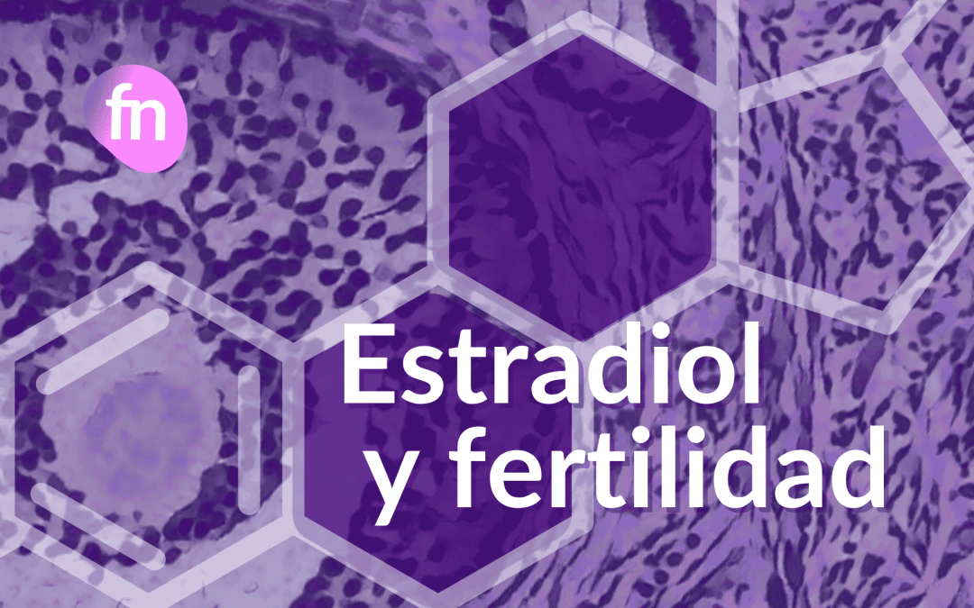 Estradiol y fertilidad: valores, funciones y por qué se mide en FIV
