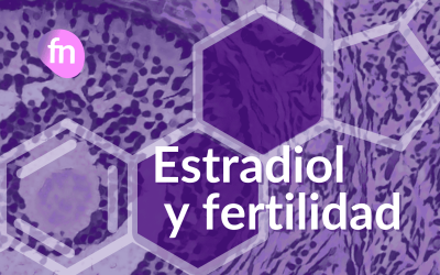 Estradiol y fertilidad: valores, funciones y por qué se mide en FIV