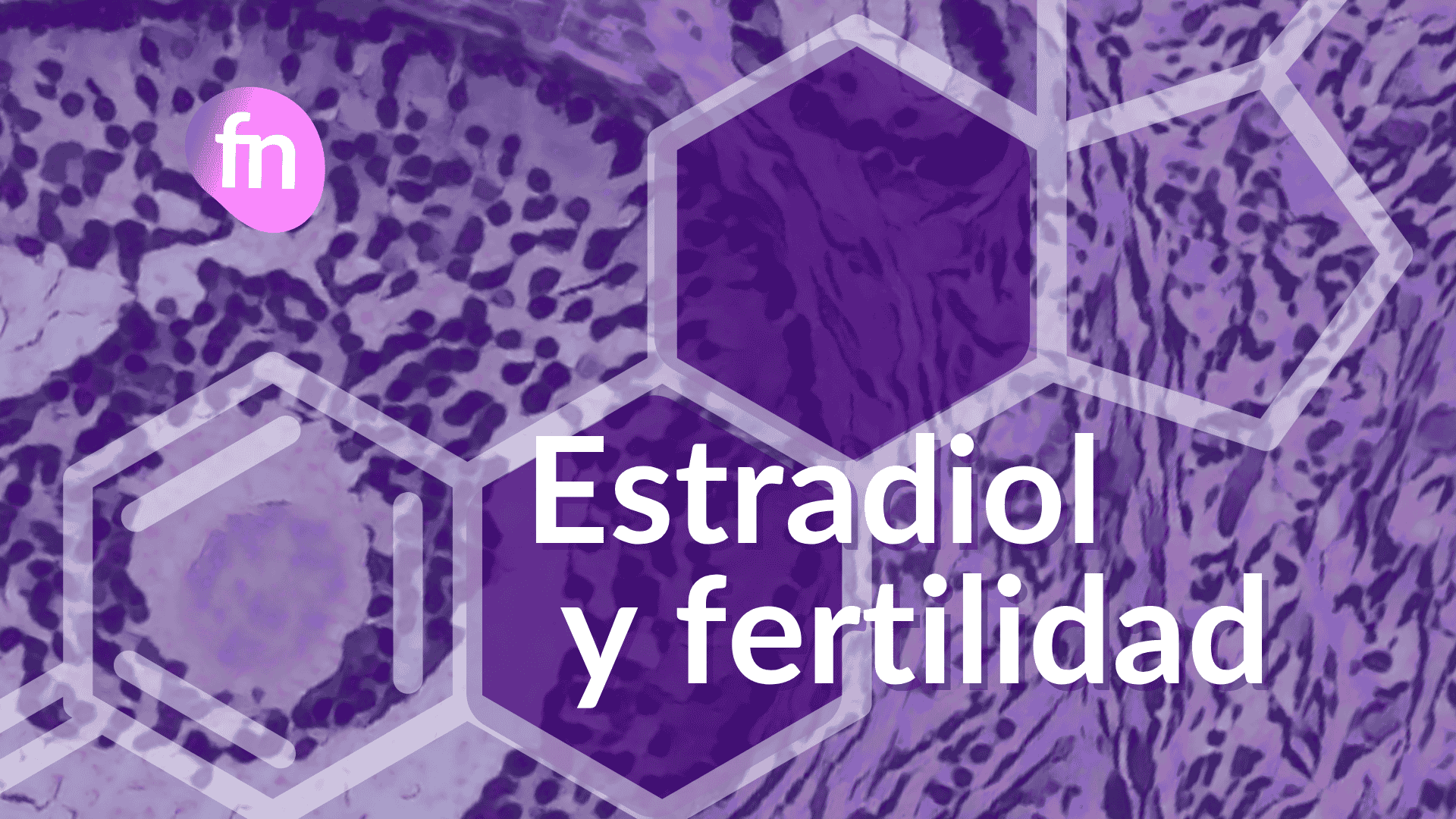 Imagen artística de un corte histológico de ovario mostrando un folículo en desarrollo, productor de estradiol, hormona clave en fertilidad.