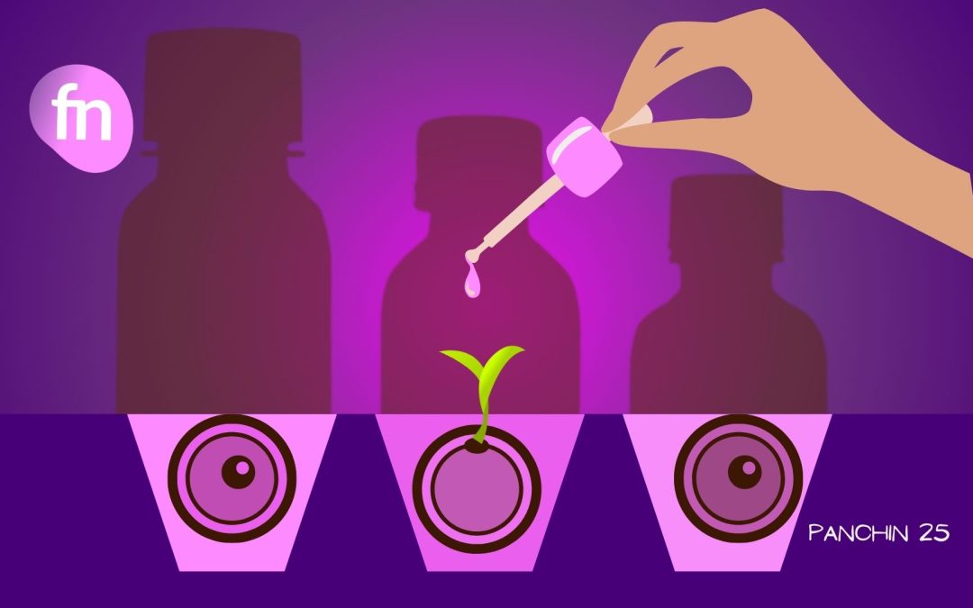 Maduración in vitro de ovocitos: ¿se pueden recuperar los inmaduros?