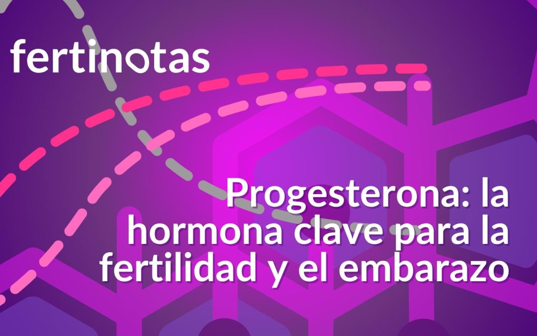 Progesterona: la hormona clave para la fertilidad y el embarazo