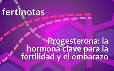 Progesterona: la hormona clave para la fertilidad y el embarazo