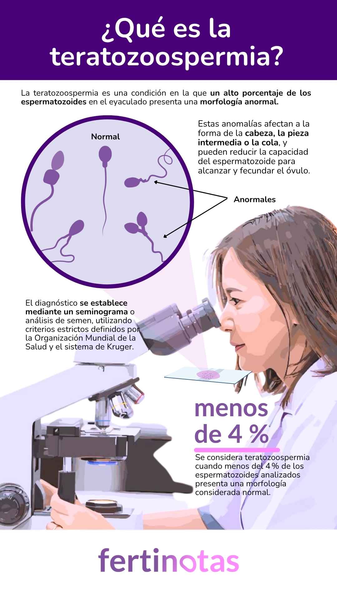 Infografía que define la teratozoospermia, su diagnóstico y cómo afecta la forma de los espermatozoides a la fertilidad.