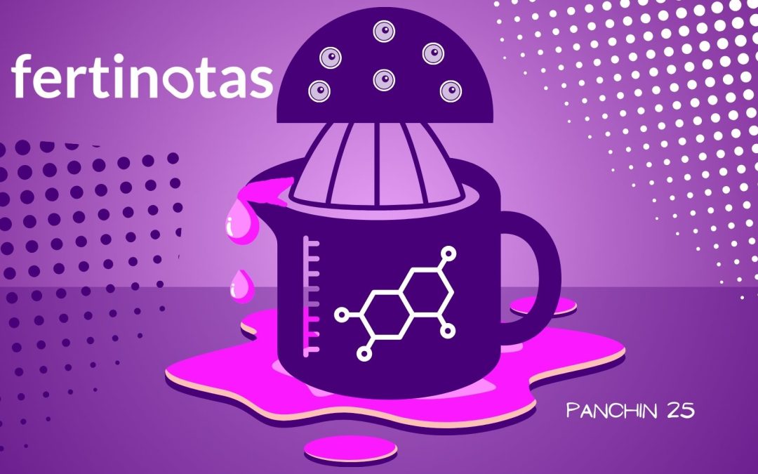 Estradiol alto en FIV: impacto y manejo para optimizar la implantación