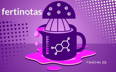 Estradiol alto en FIV: impacto y manejo para optimizar la implantación
