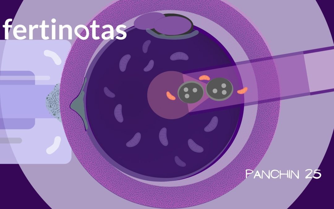Prevención de transmisión de enfermedades mitocondriales: avances en MELAS