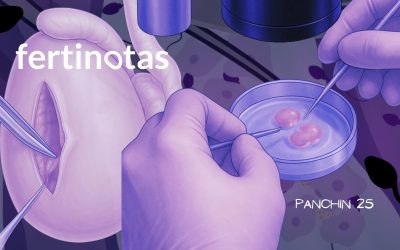 TESE o biopsia testicular: qué es, cómo se realiza y resultados