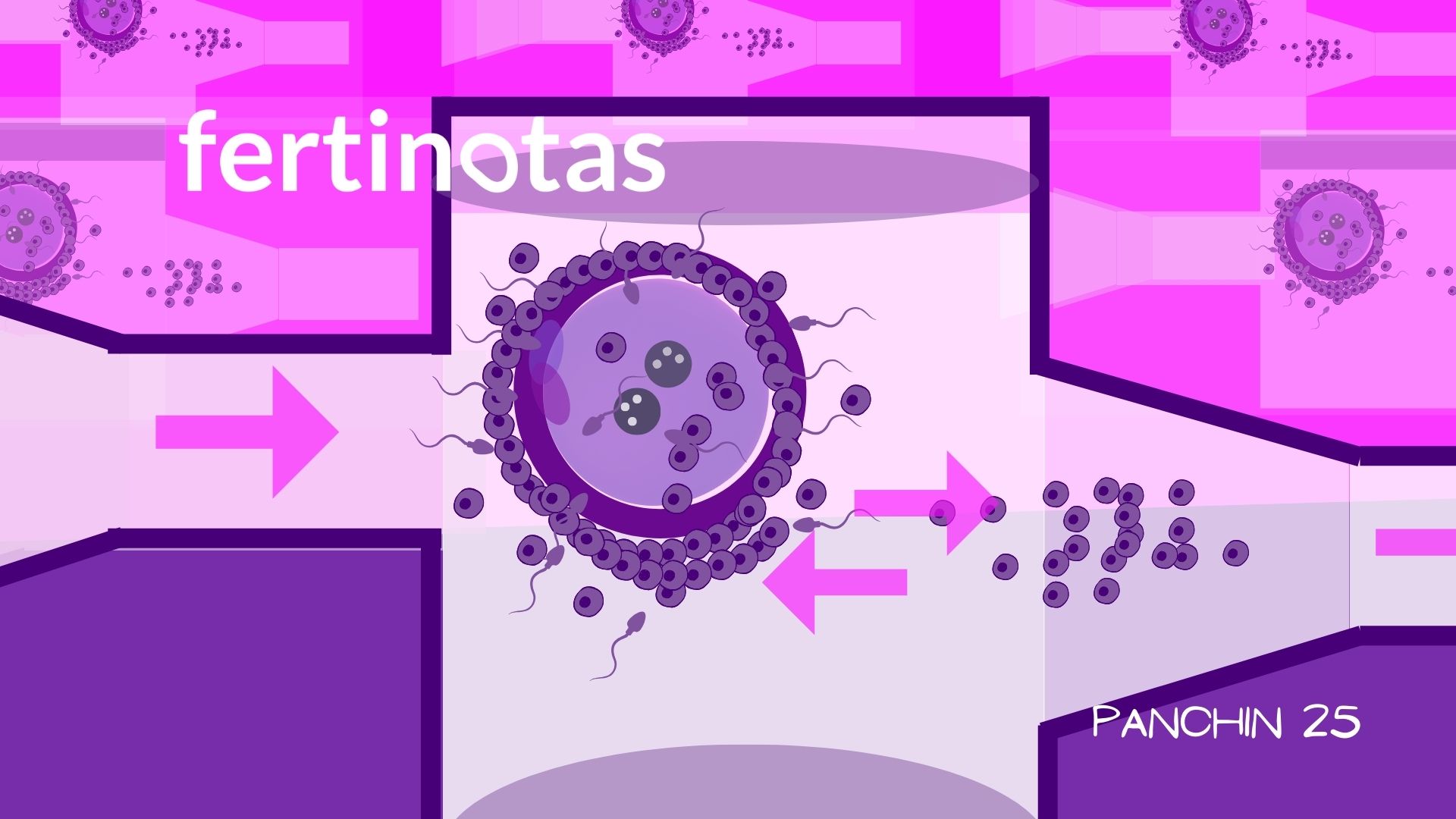 biochip microfluidos denudacion cigotos ovocitos Denudación de un cigoto en un biochip microfluídico de laboratorio