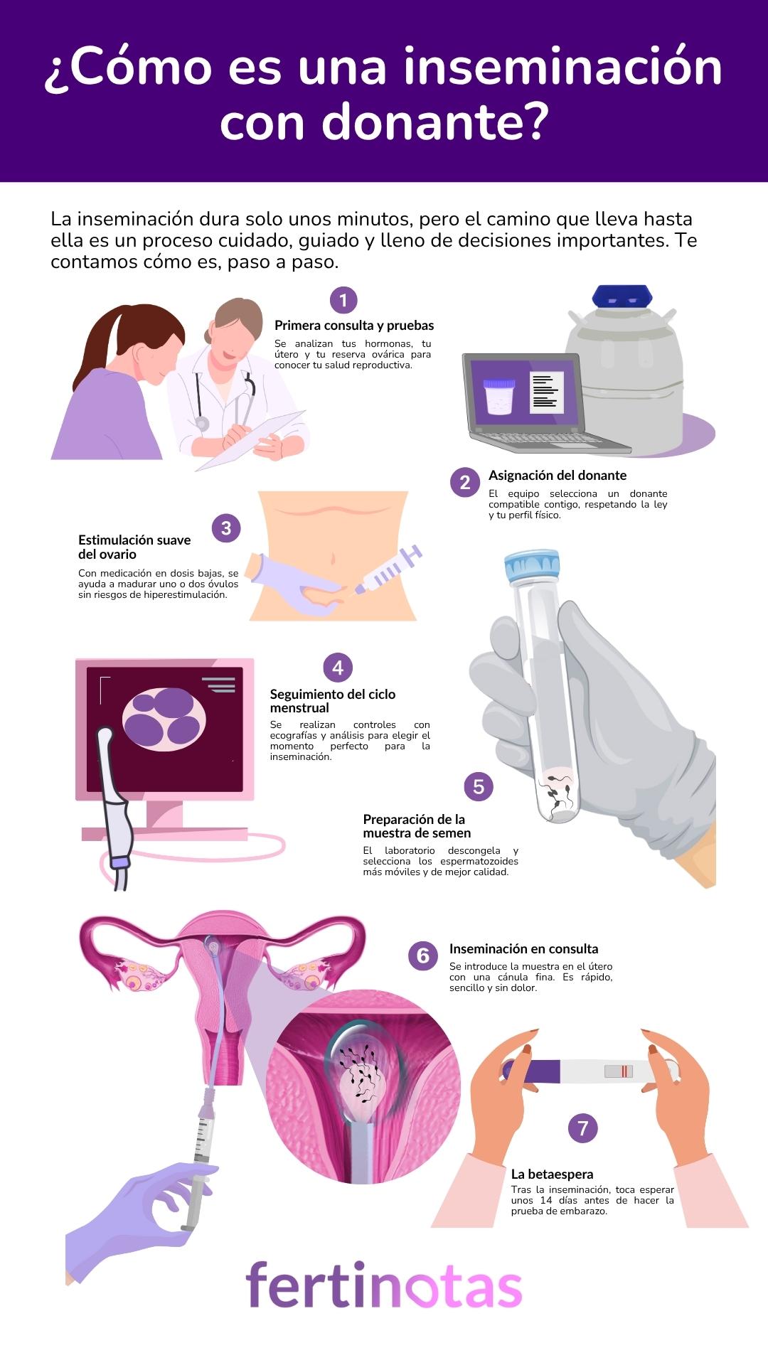 Infografía que muestra los pasos del tratamiento de inseminación con donante: consulta inicial, asignación del donante, estimulación ovárica, seguimiento del ciclo, preparación del semen, inseminación y espera del resultado.</p>
<p>