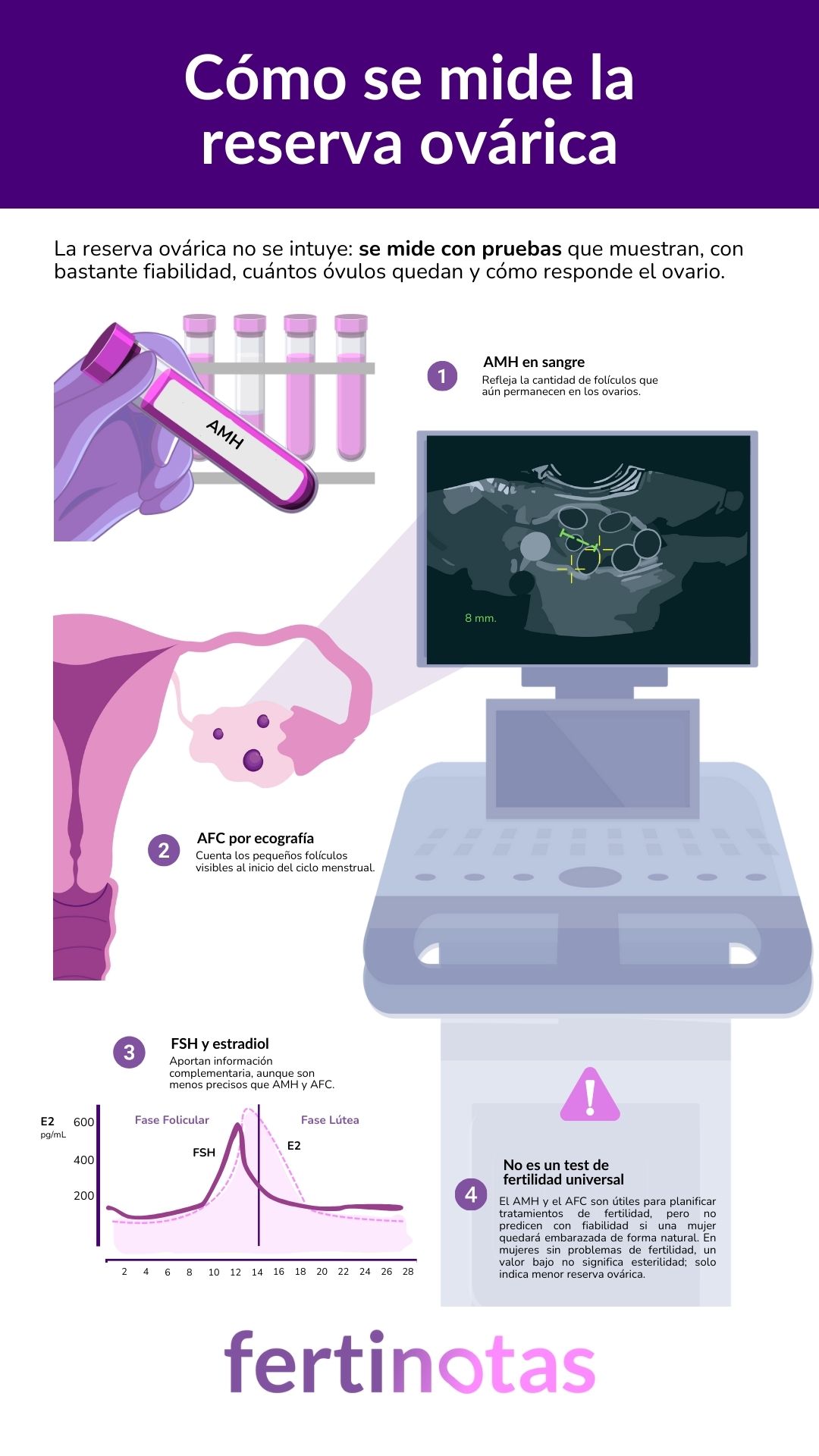 Infografía con pruebas médicas para evaluar la reserva ovárica: AMH, AFC, FSH y estradiol.