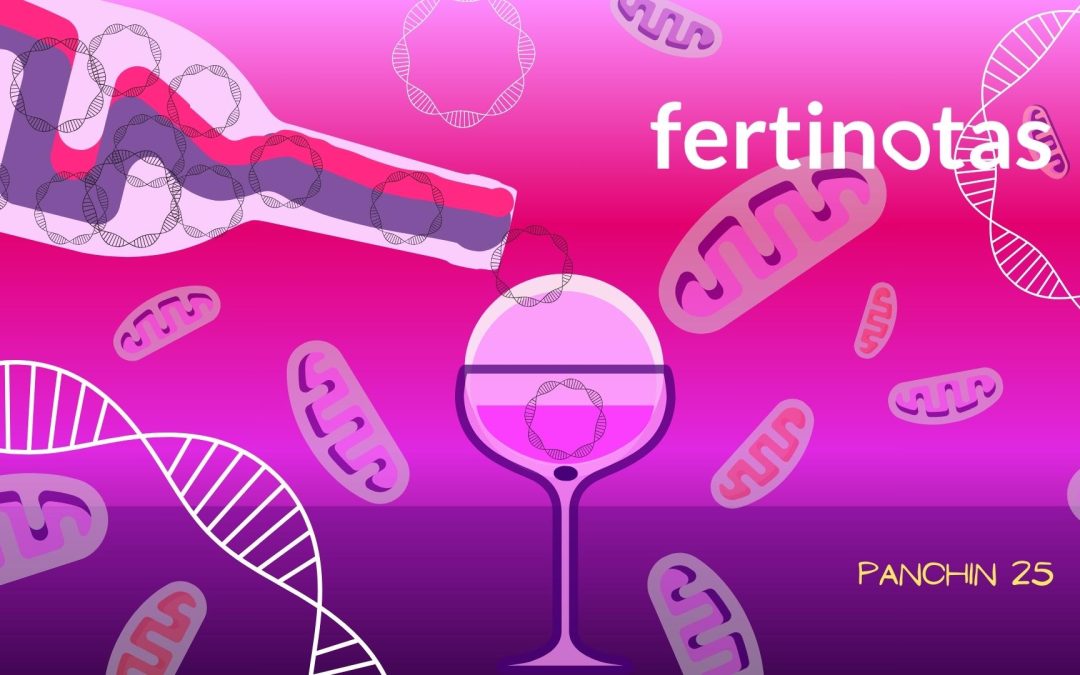 Cuello de botella mitocondrial: impacto en fertilidad y salud genética