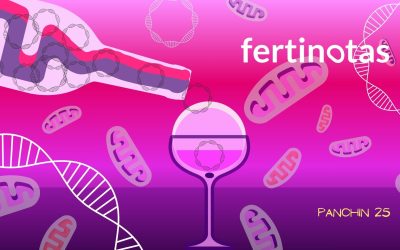 Cuello de botella mitocondrial: impacto en fertilidad y salud genética