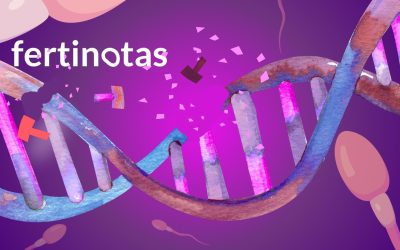 Fragmentación del ADN espermático: qué es, causas y su impacto.