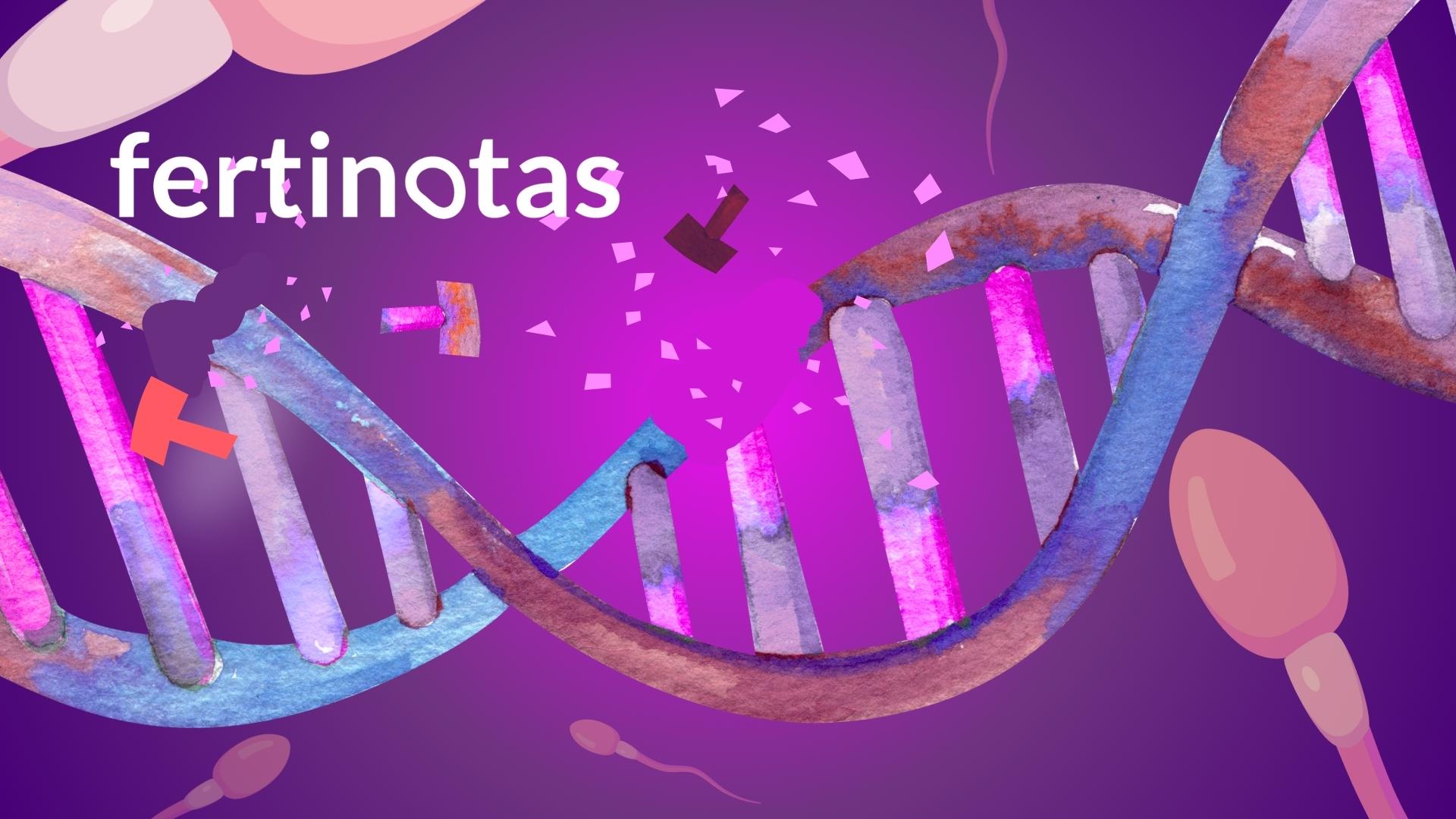 fradmentacion de ADN de los espermatozoides Ilustración de la fragmentación del ADN espermático, mostrando roturas en el material genético de los espermatozoides.