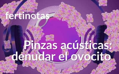 Pinzas acústicas: el sonido que ayuda a denudar el óvulo