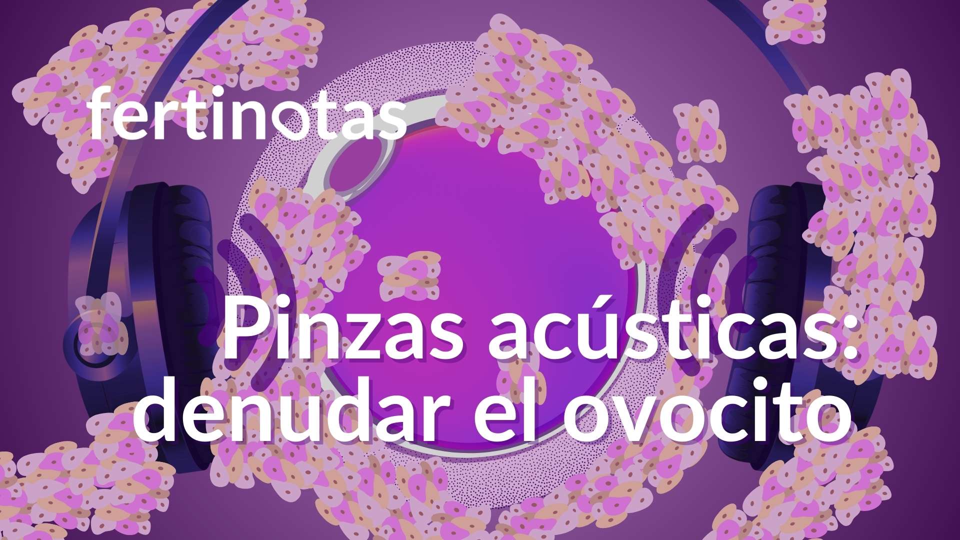 pinzas acusticas hidrodinámicas denudar ovulo Óvulo con auriculares escuchando música mientras es denudado con pinzas acústicas en laboratorio de reproducción asistida