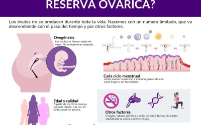 Reserva ovárica disminuida: qué es, cómo se mide y tratamientos
