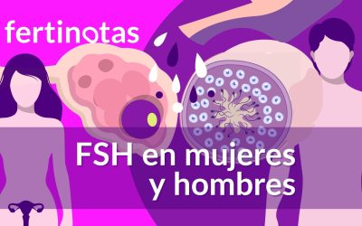 ¿Qué es la FSH y por qué importa conocer su valor?