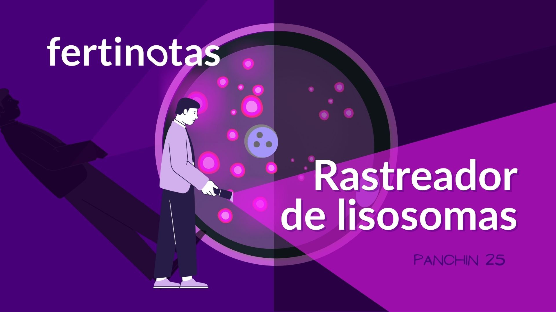 Ovocito humano y lisosomas una linterna científica revela su secreto panchin Ilustración artística de un ovocito humano mitad en vesícula germinal y mitad en metafase II, con lisosomas brillando en fluorescencia. Un investigador sostiene una linterna en un ambiente oscuro, simbolizando cómo la ciencia ilumina procesos invisibles en la fertilidad femenina.